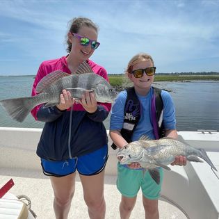 Two big black drum fish caught while fishing in NC