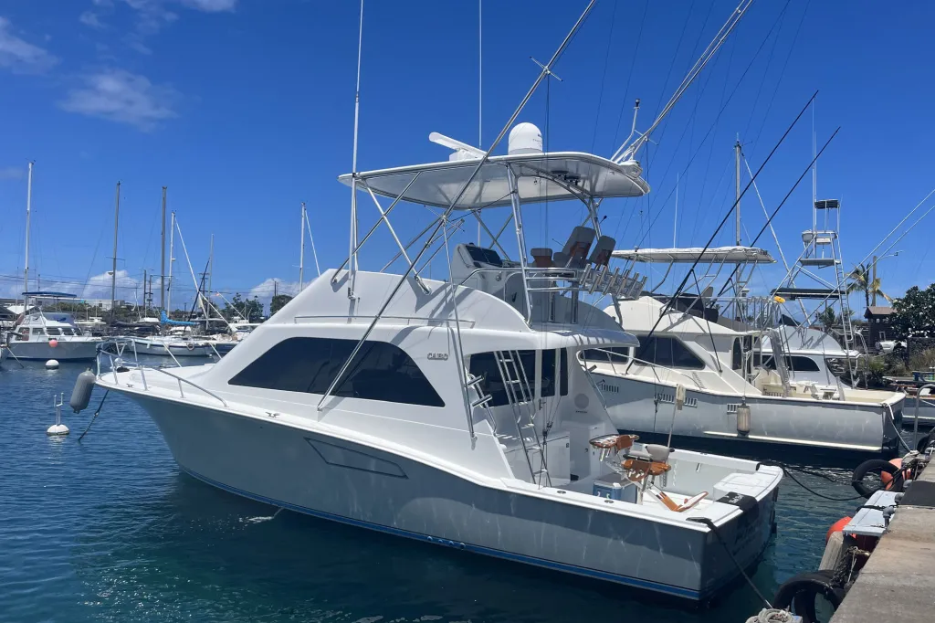A'U NUI (BIG MARLIN)