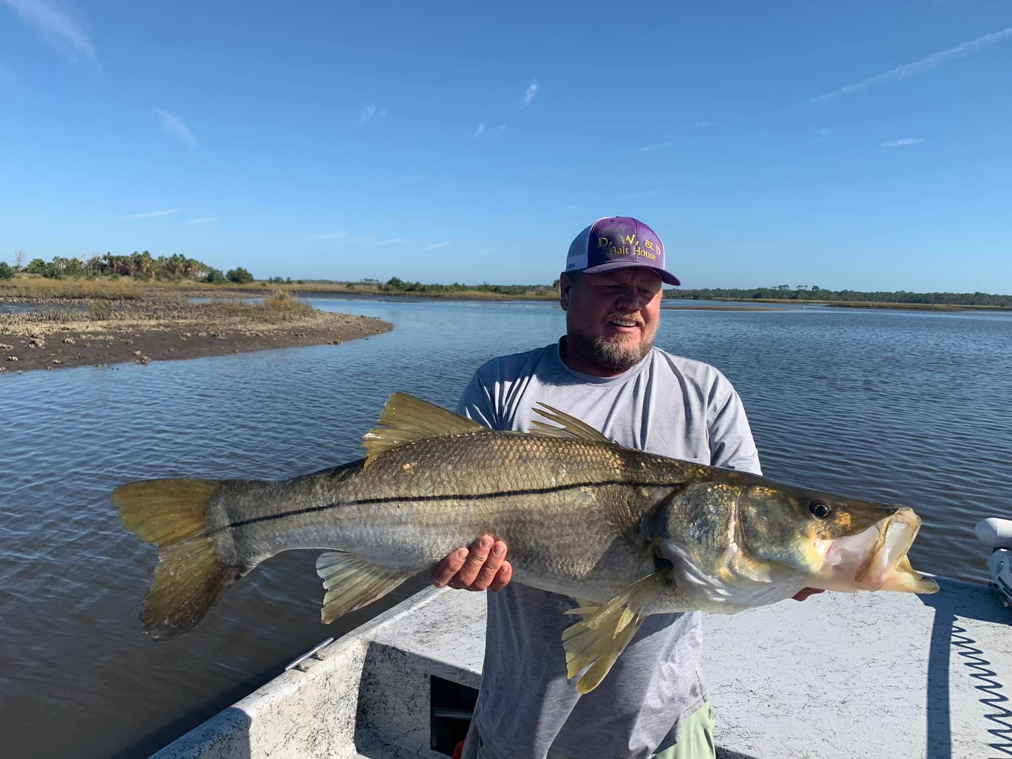 A snook fish being caught while fishing in Cedar Key
