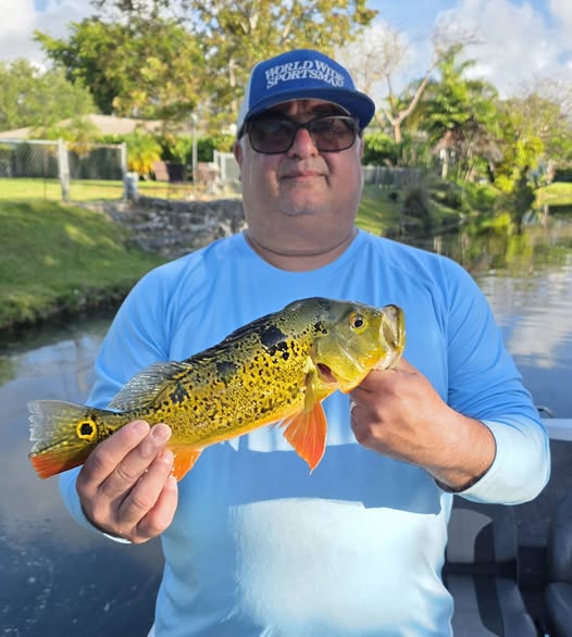 Peacock bass catch from Fort Lauderdale fishing tour