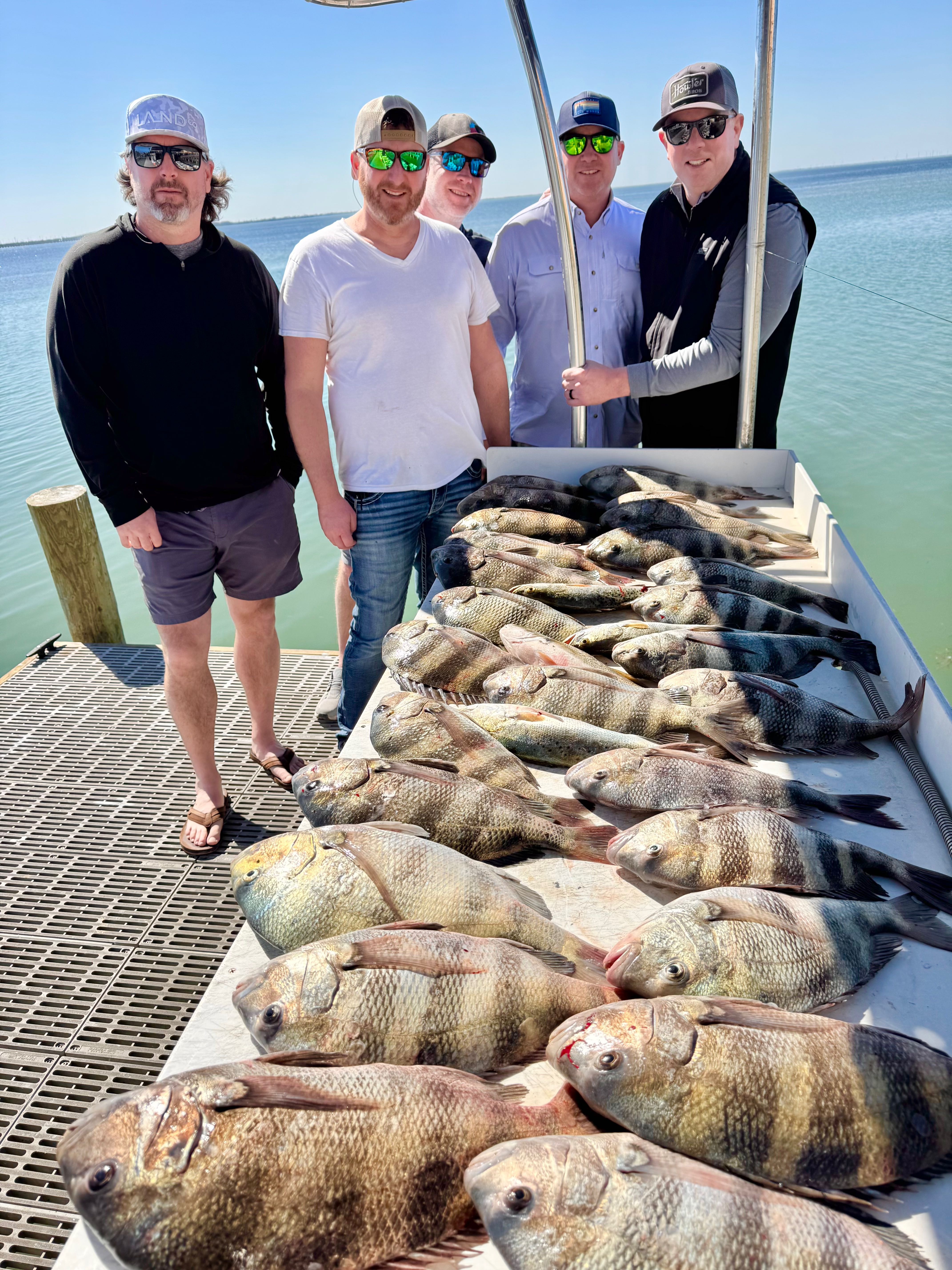4 black drum and sheepshead fish caught while fishing at South Padre Island