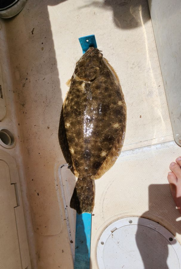 One fishing rod with a line cast in a Maryland location