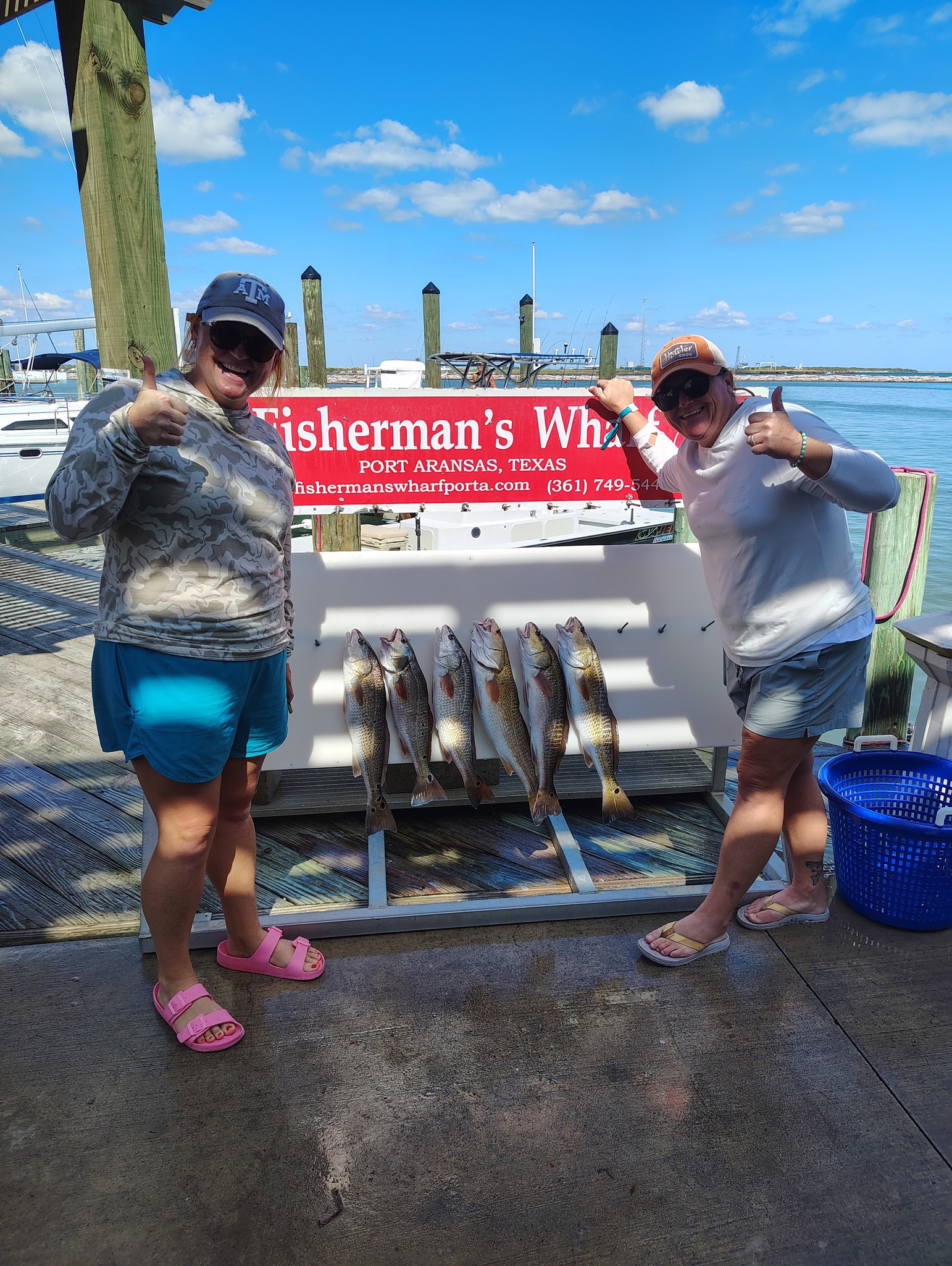 Five redfish displayed on cleaning station at Fisherman's Wharf in Rockport TX