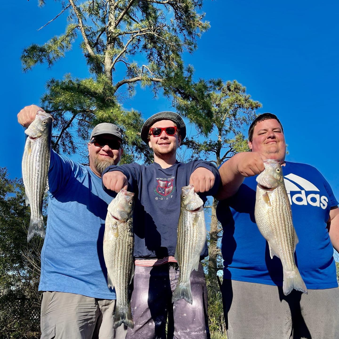 4 striped bass caught in NC
