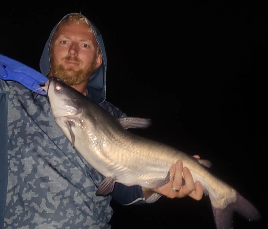 Blue catfish caught in MD