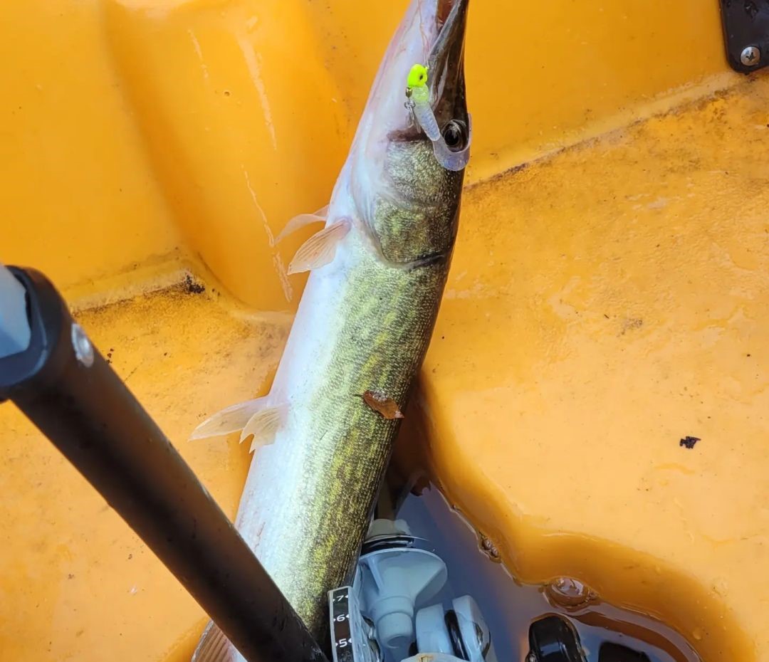 Fishing in MD