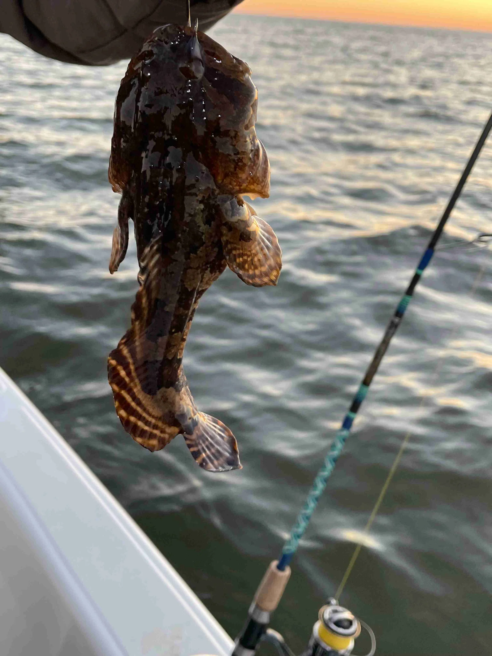 A fisherman's catch in Alabama