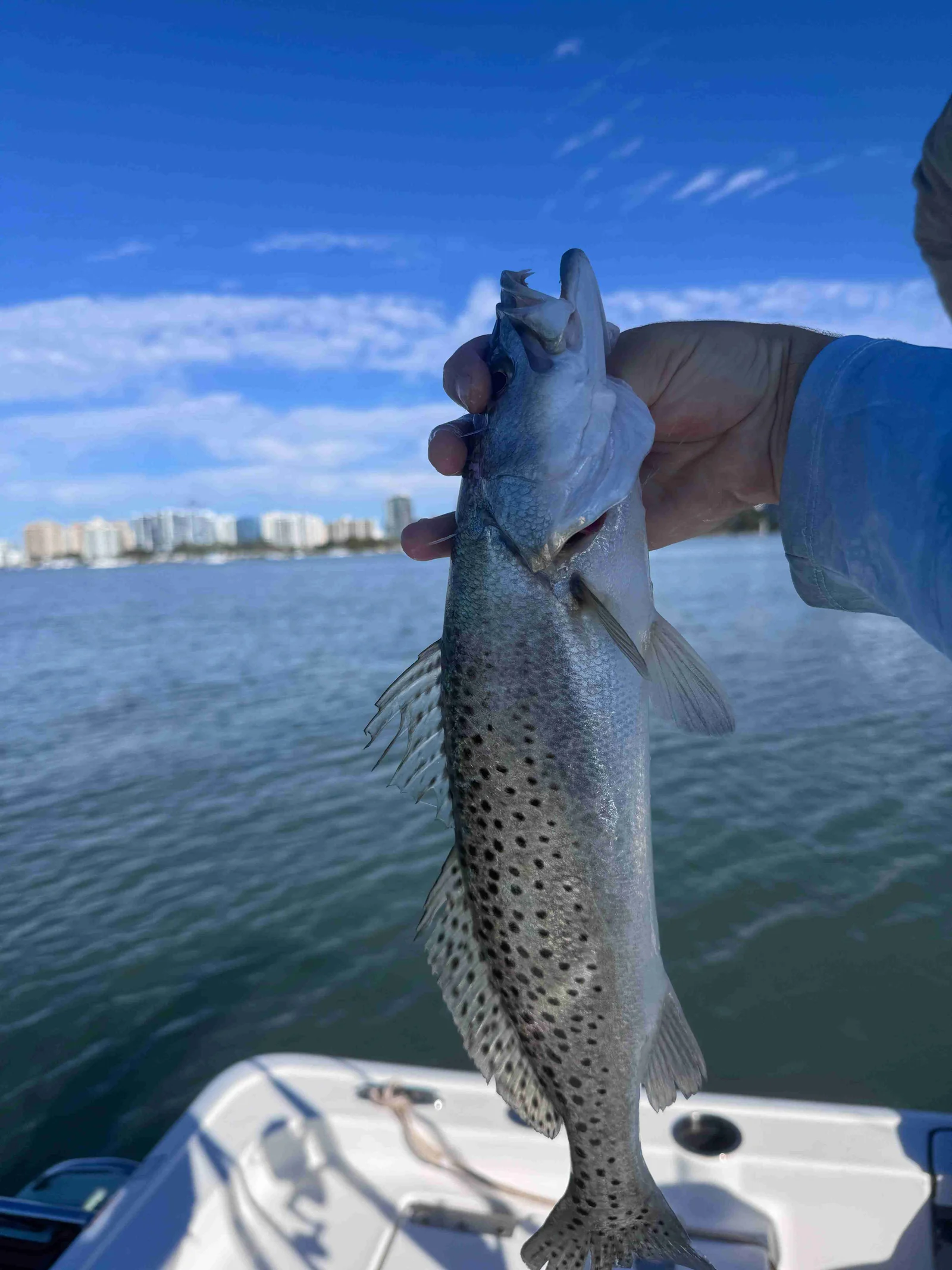 Spotted Weakfish caught in AL