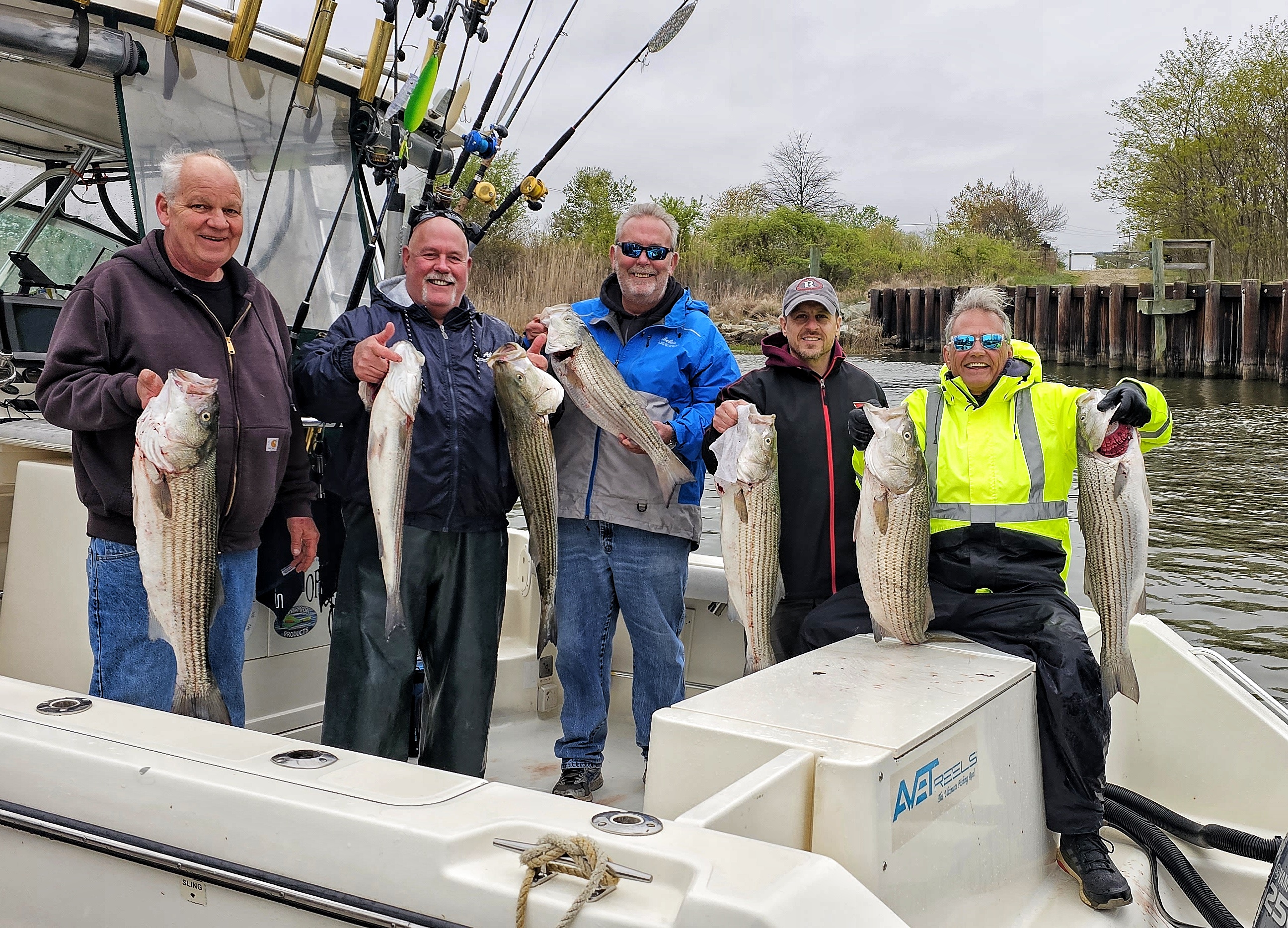 Four striped bass caught in Port Monmouth