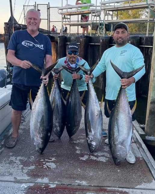 4 King Mackerel fish caught while fishing in NJ