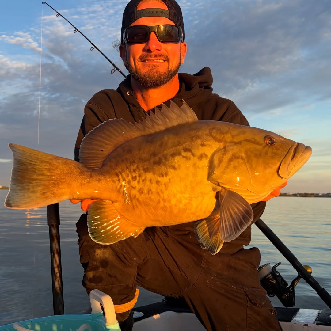 Gag grouper caught while fishing in Tampa Bay FL