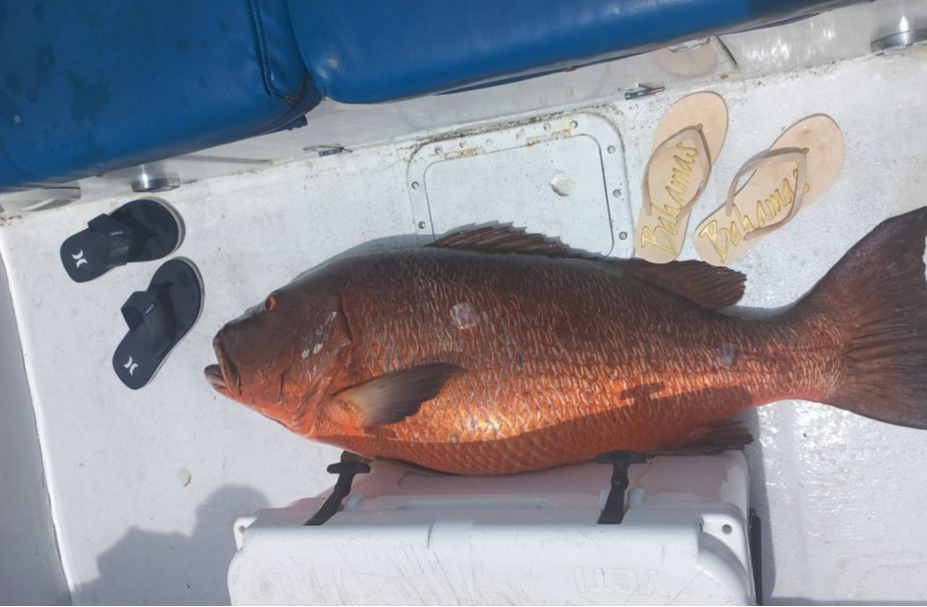 One fishing at Nassau