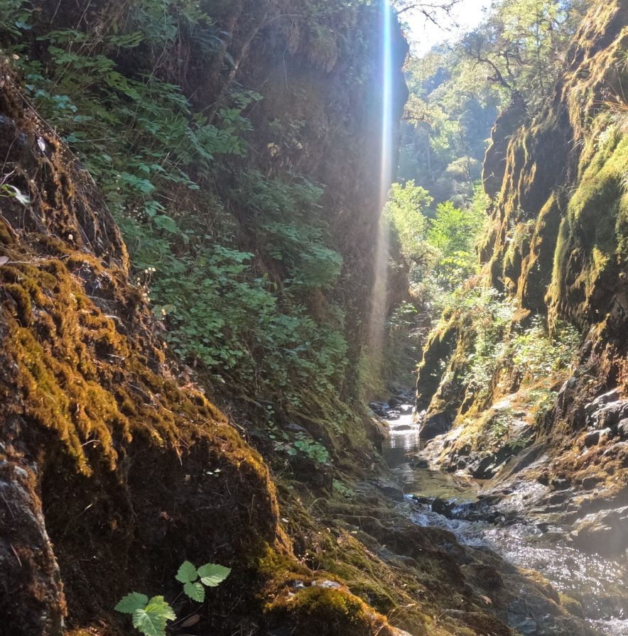 Kayak in Grants Pass with water sports