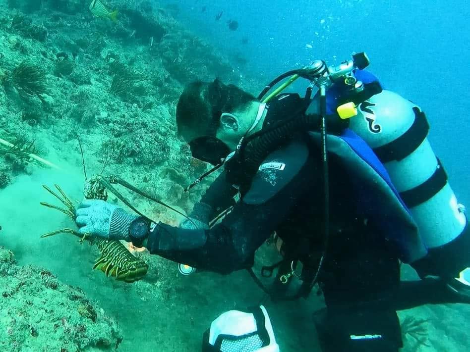 Group scuba diving boat charter departing Lake Park Harbor Marina Palm Beach County