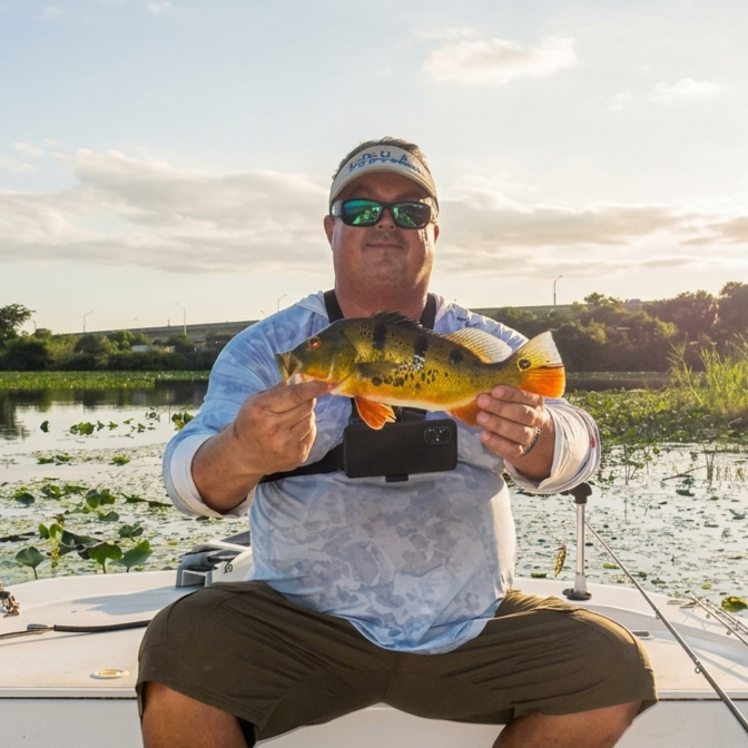 Largemouth bass fishing boat on Lake Okeechobee with Captain Todd Bailey guide service