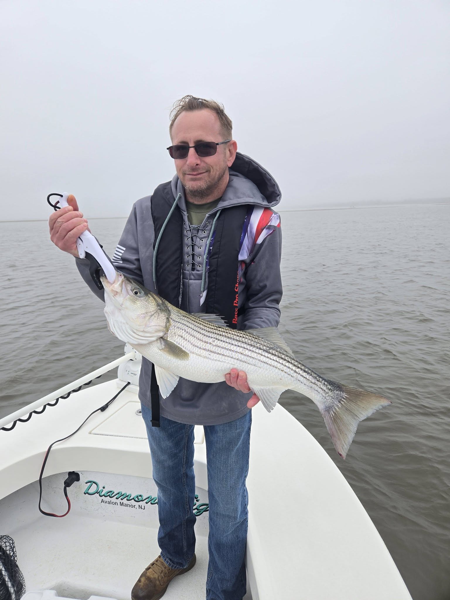 Striped bass catch displayed on fishing boat in Avalon NJ waters