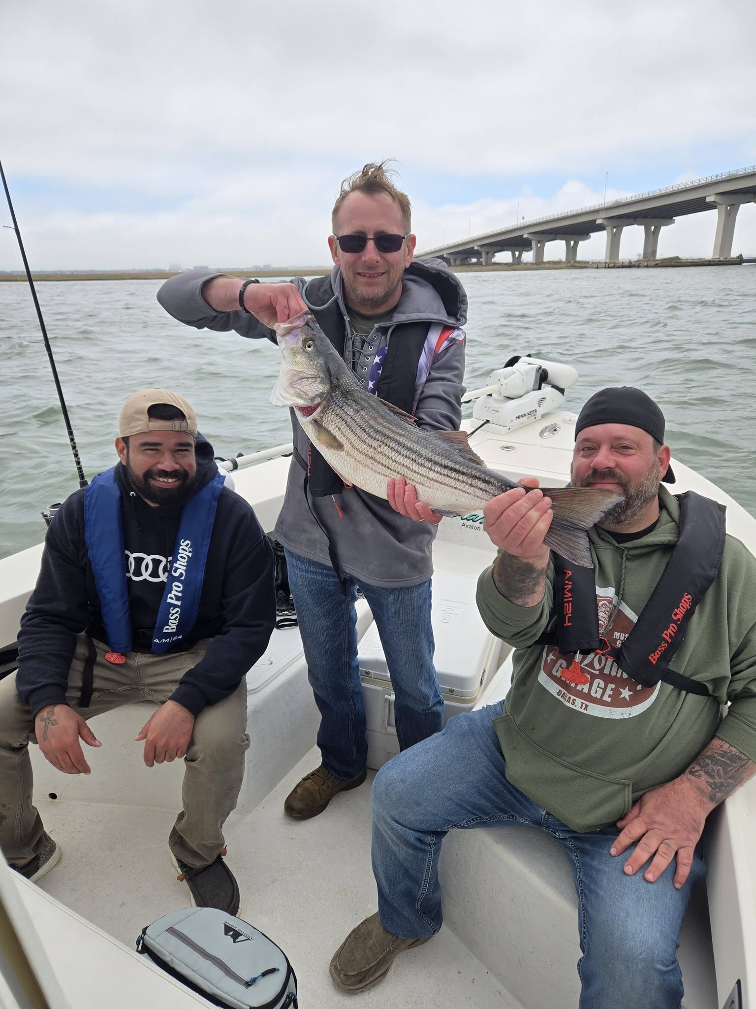 Striped bass fishing success on boat in Avalon NJ waters with bridge visible in background