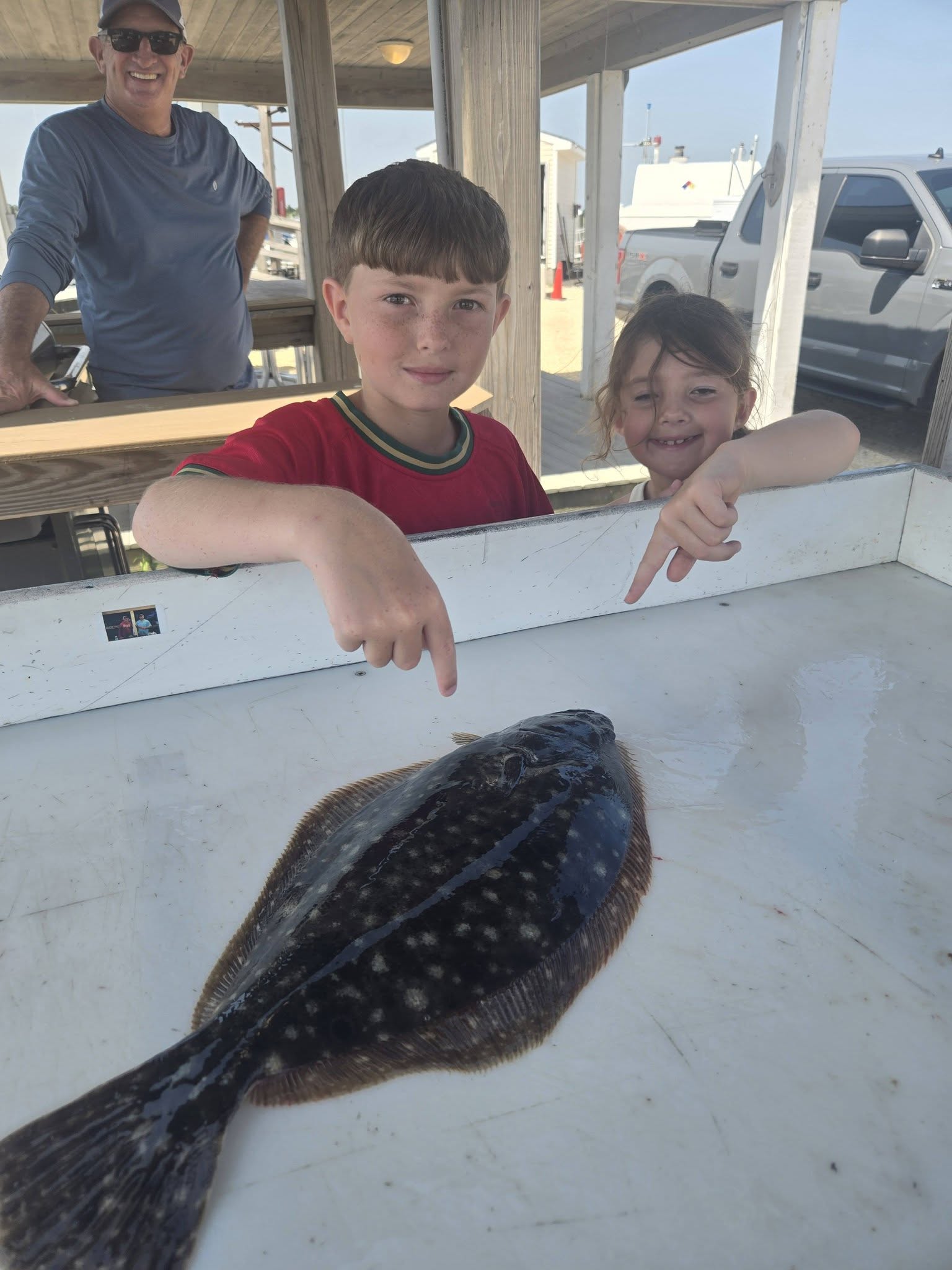 Summer flounder catch displayed on cleaning station in Avalon NJ