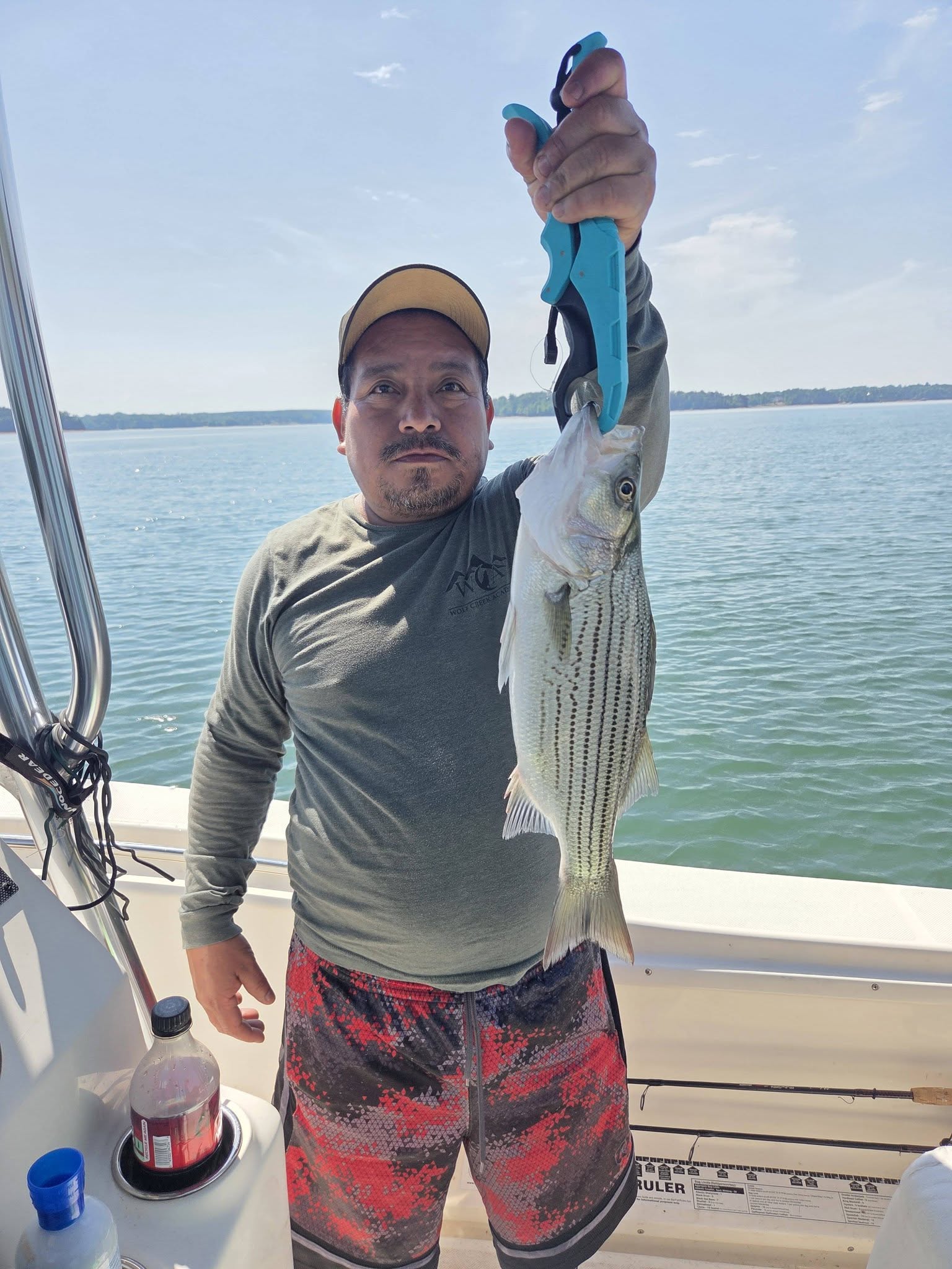 Striped bass caught during fishing trip in Lyman SC