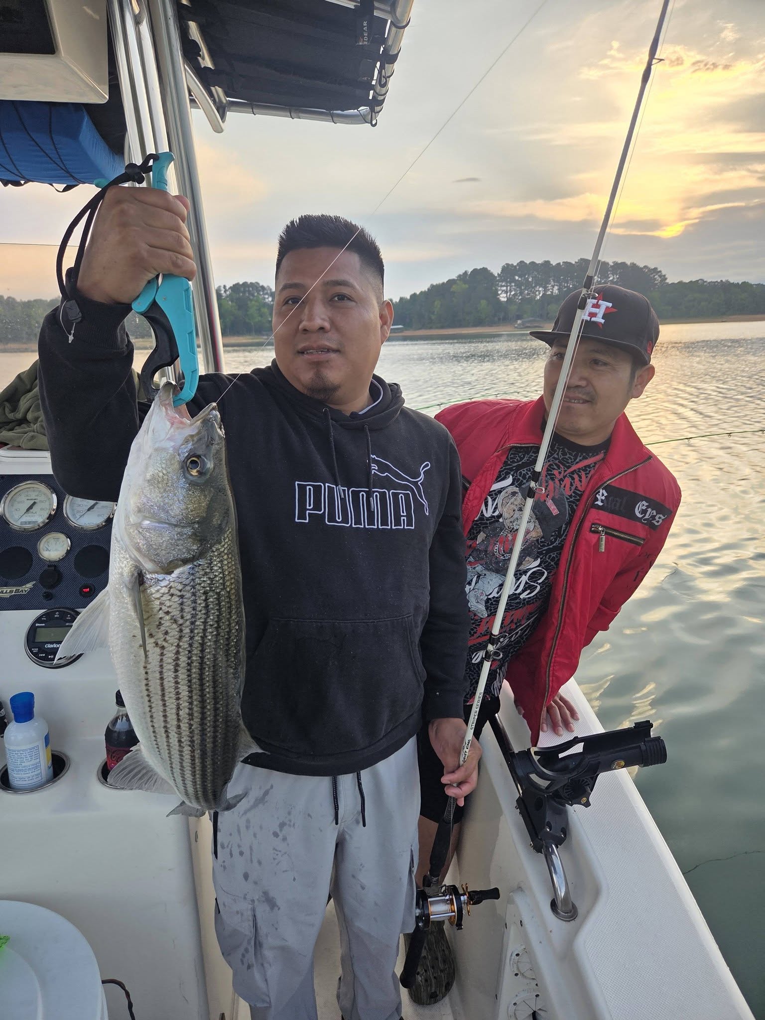Striped bass caught while fishing in Lyman SC on boat at sunset