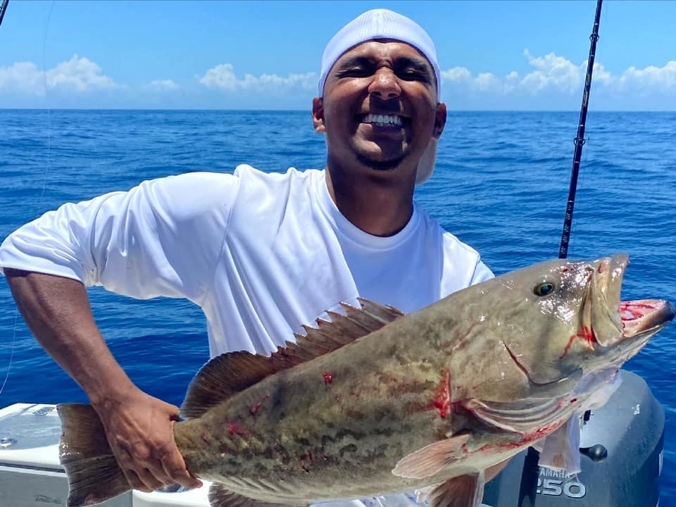 Gag Grouper fish caught while fishing in FL
