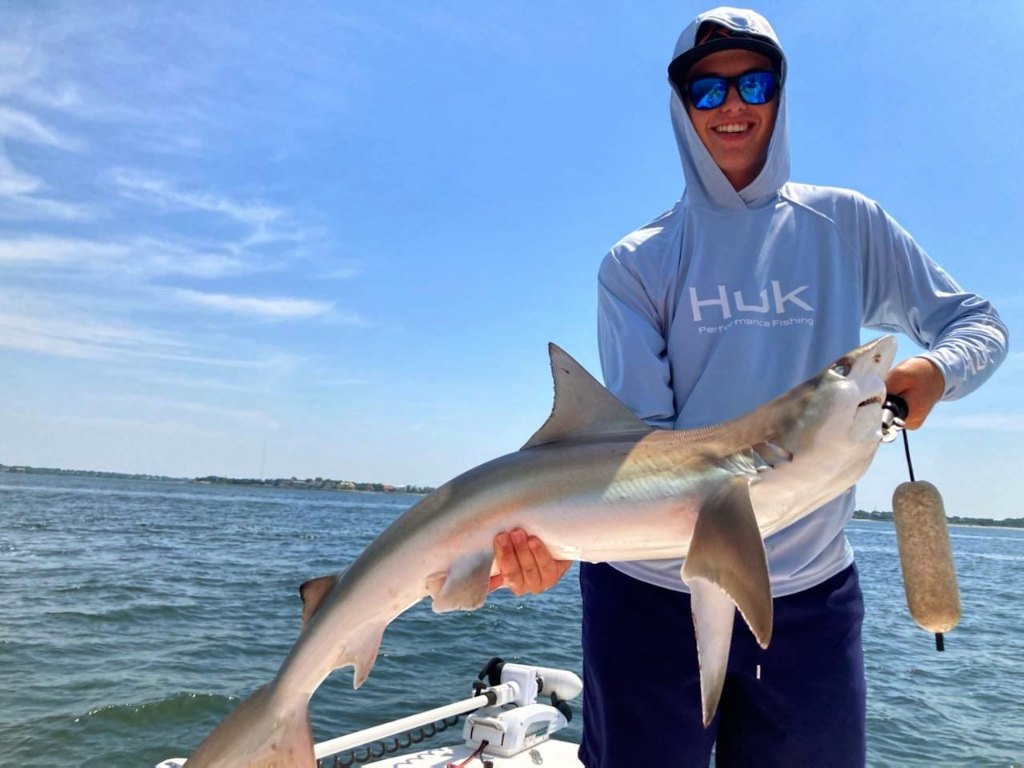 Blacktip shark, 34 inches, caught in Charleston