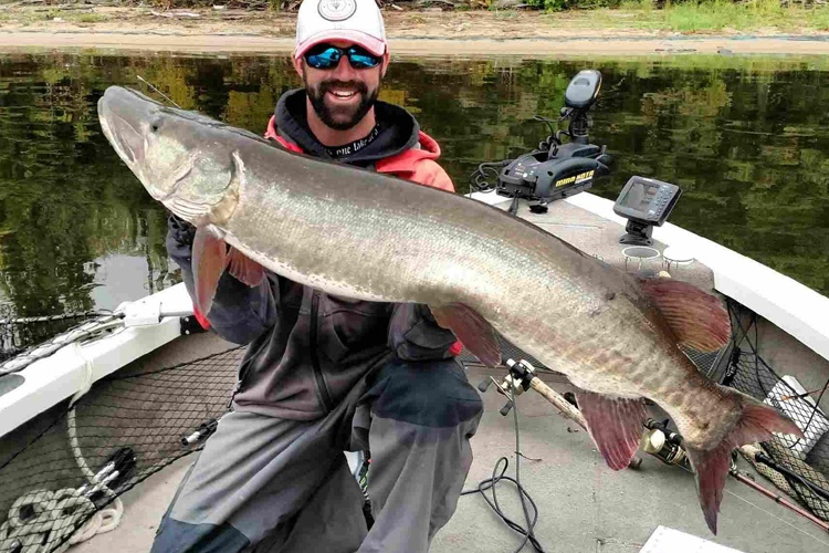 Muskellunge caught in Angle Inlet