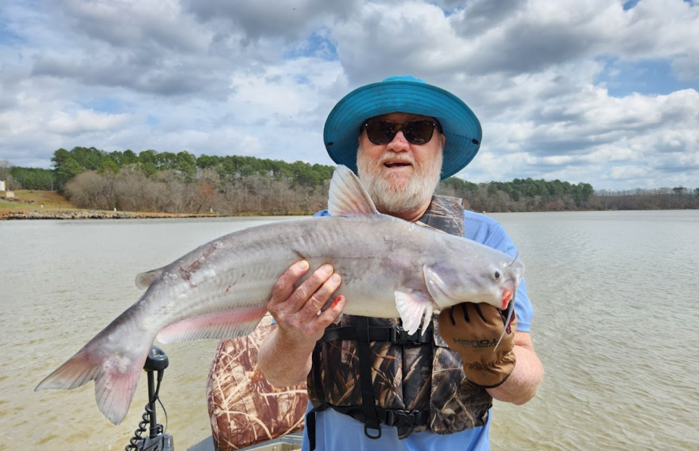 Blue Catfish, a big 25-inch fish caught while fishing in GA