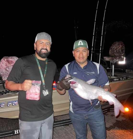 White Catfish caught in Phoenix, Arizona