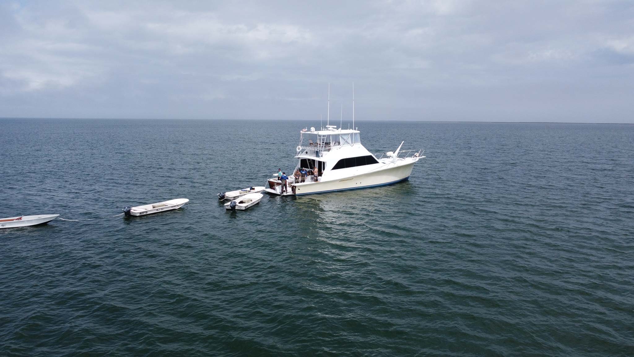 Southeastern Sportfishing