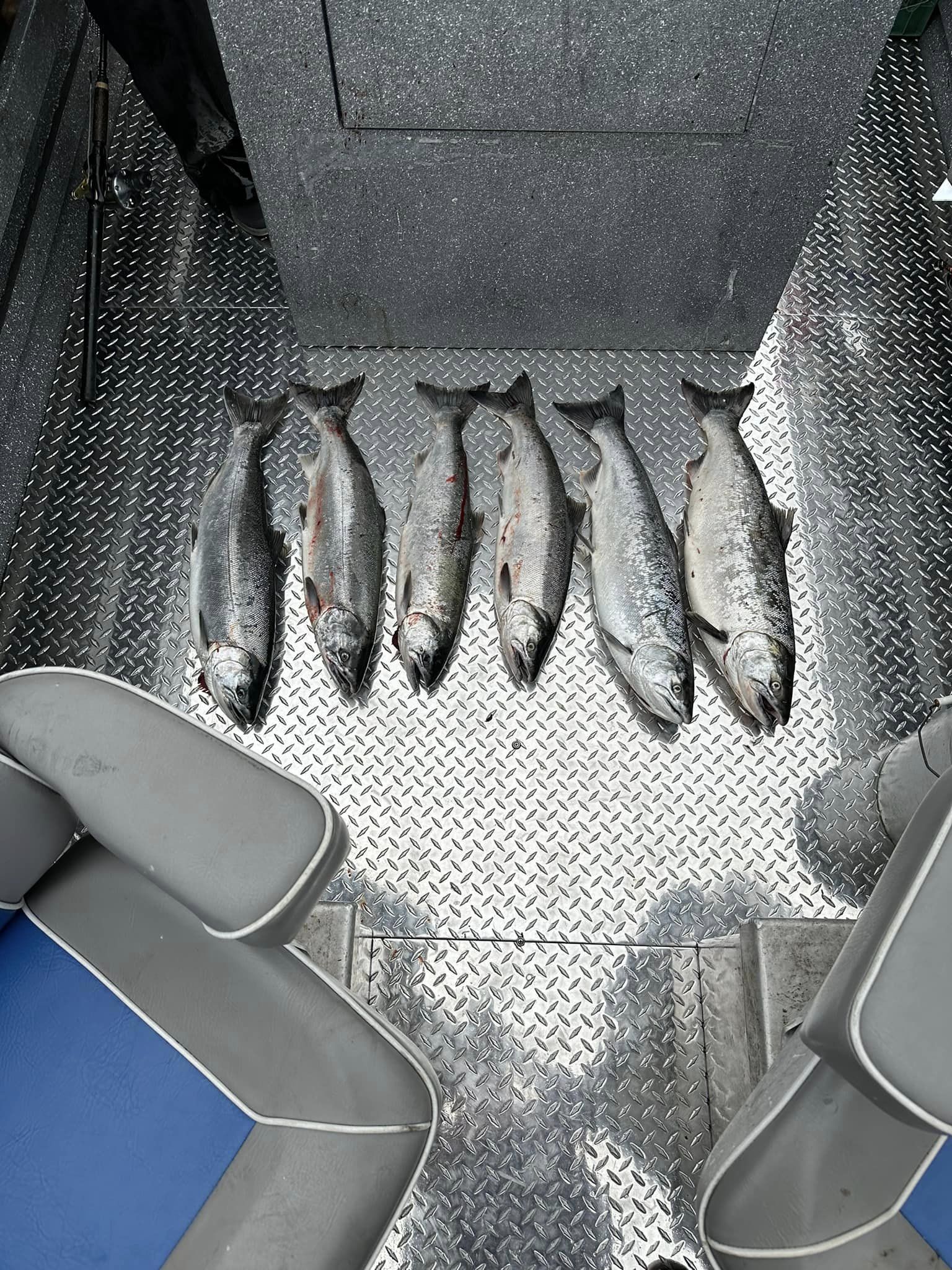 6 Chinook salmon caught during fishing trip in OR
