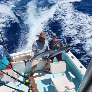 A fisherman's catch from Key West, Florida