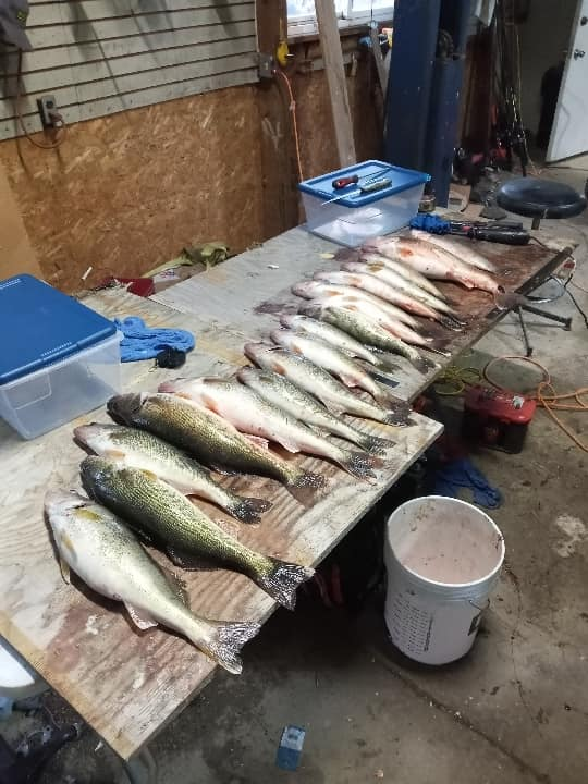 2 fish caught at lakeside marblehead