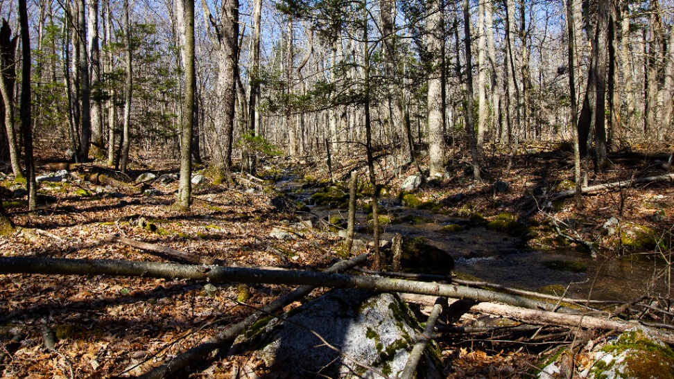 Scenic landscape in PA