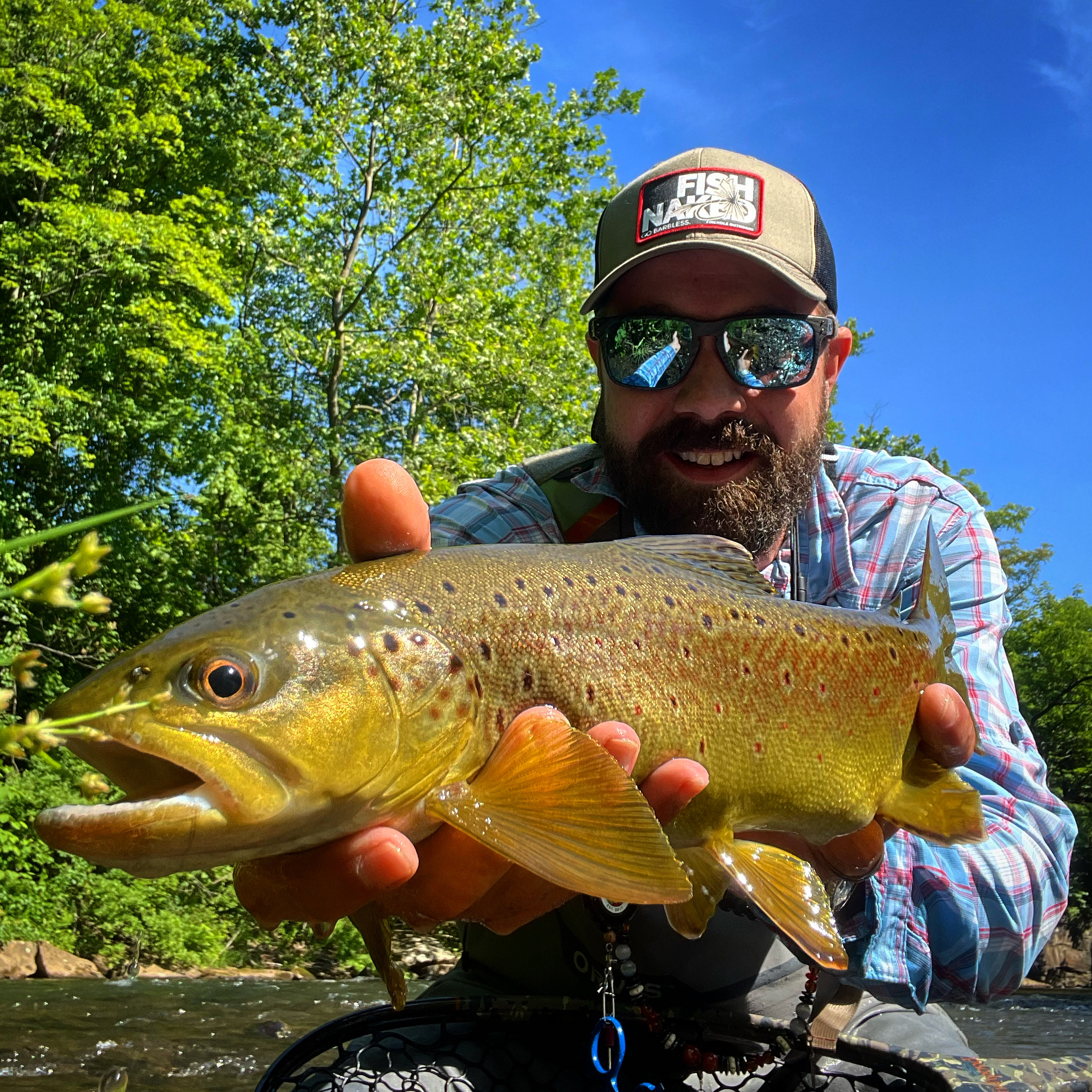 Walk-in wade fishing guide on Bedford Pennsylvania streams for wild trout and bass