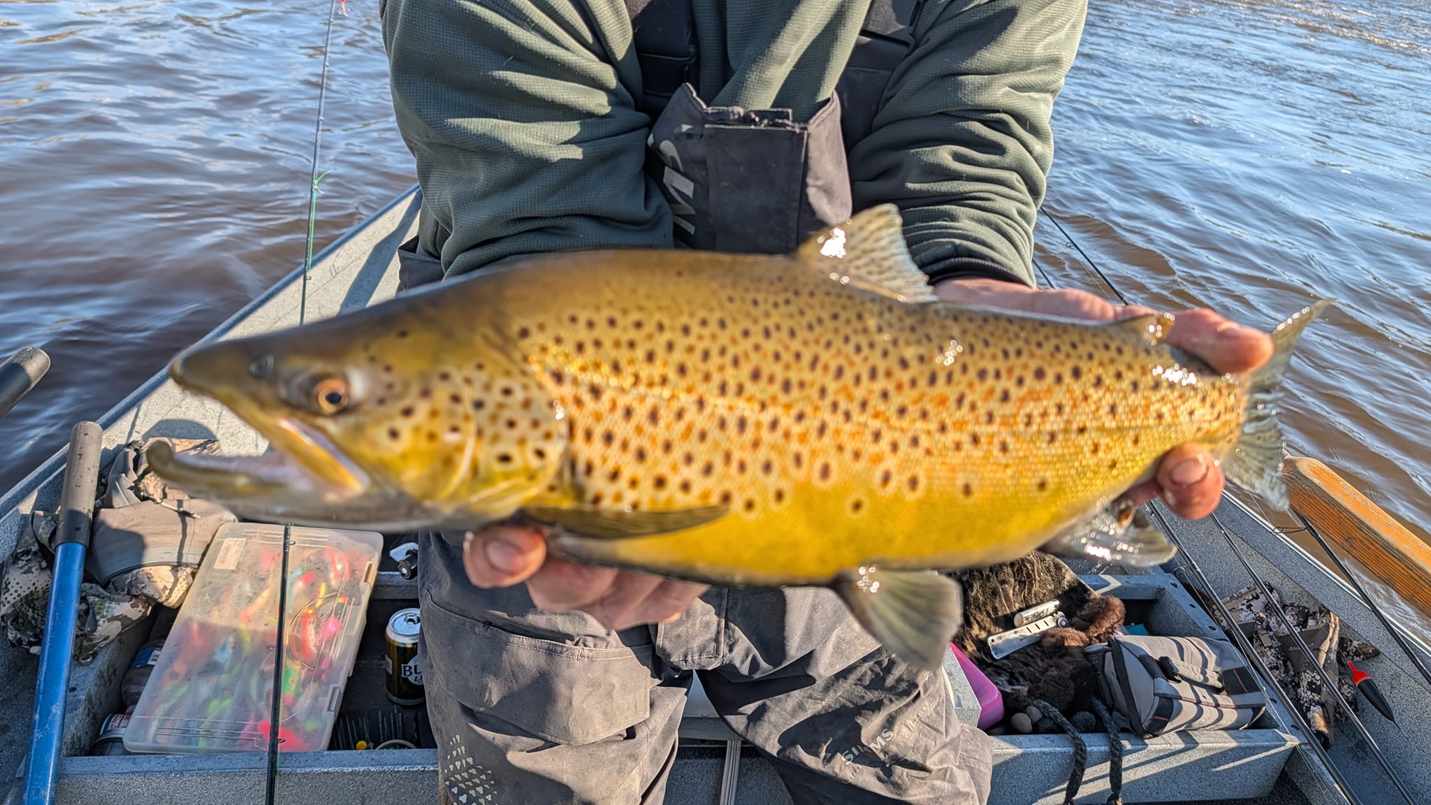 Scenic image of a sea trout in NY