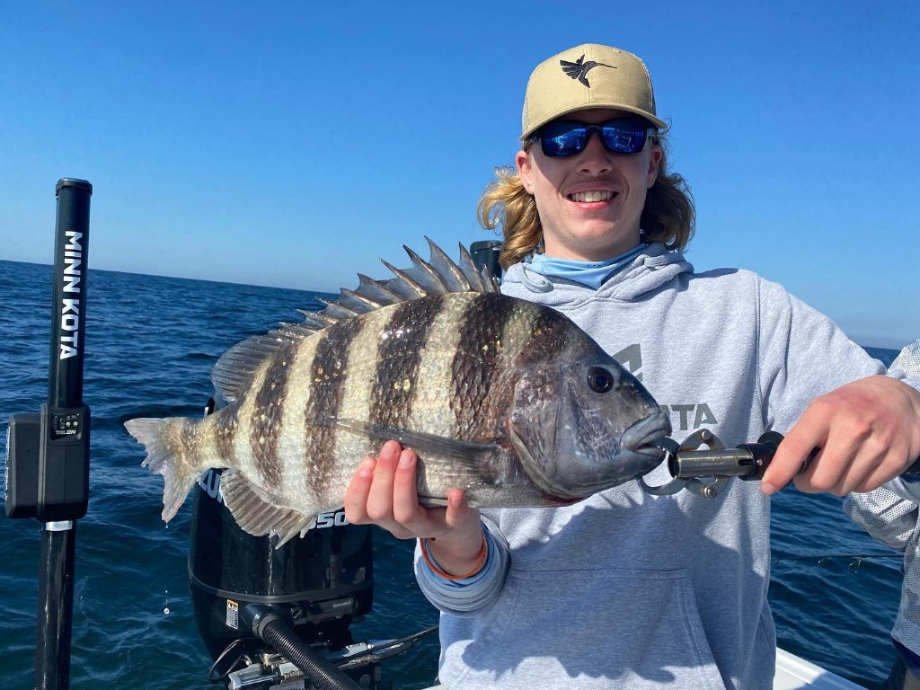 Sheepshead fish caught at Panama City Beach