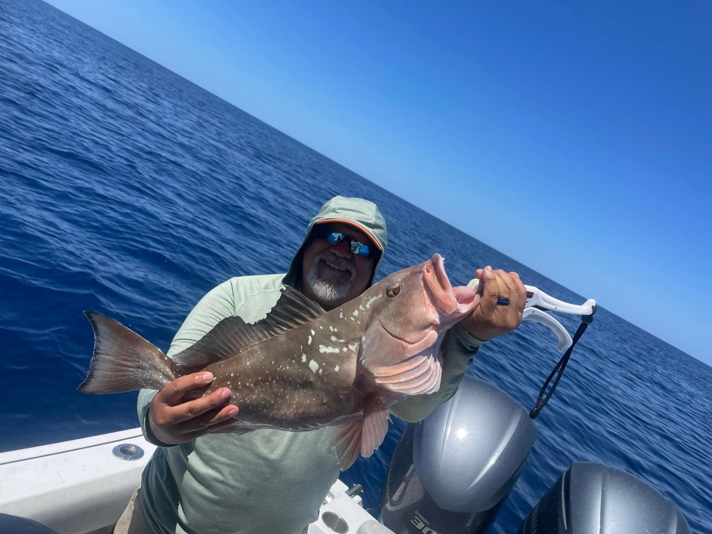 Barred Sand Bass caught in FL