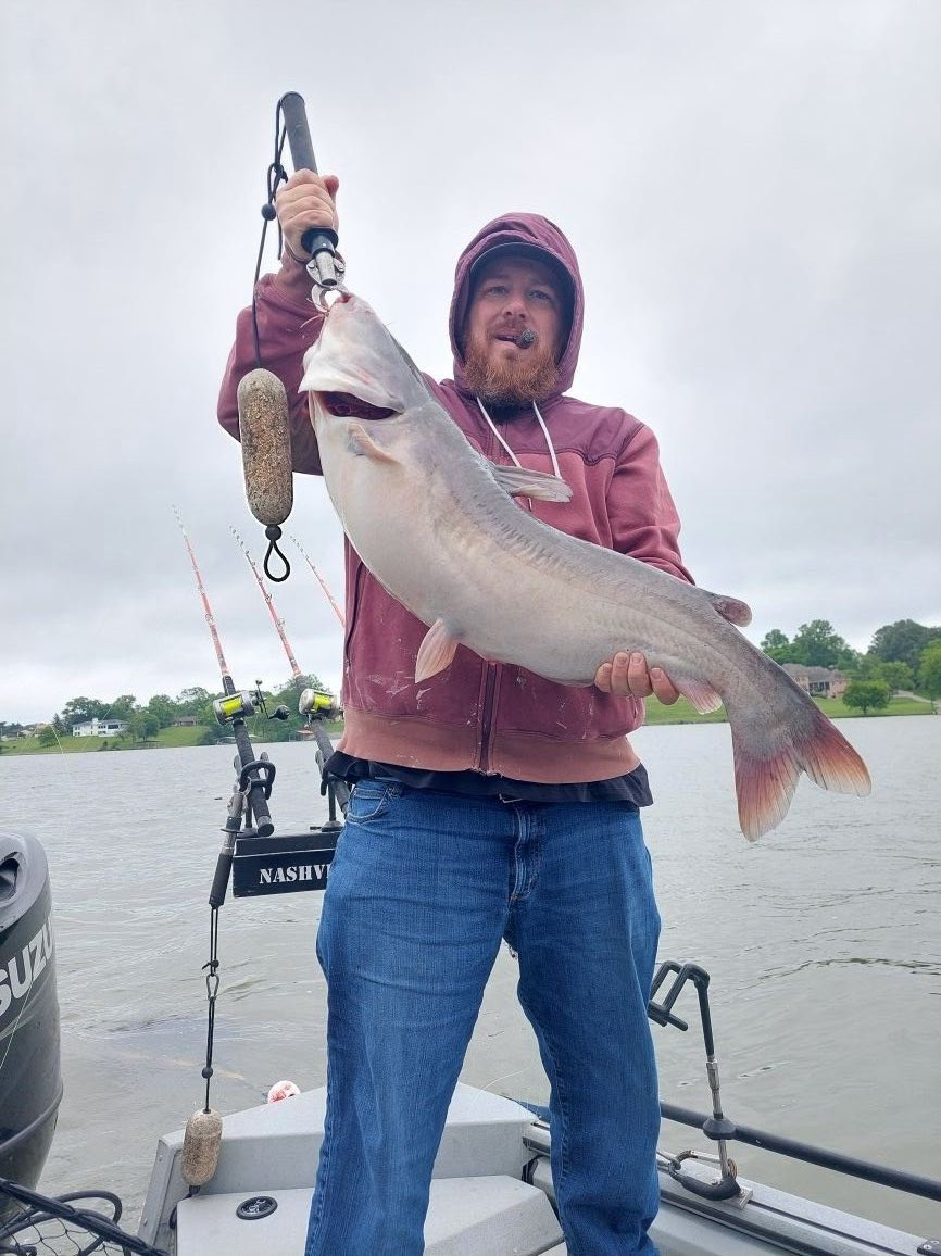 White catfish caught while fishing in Old Hickory