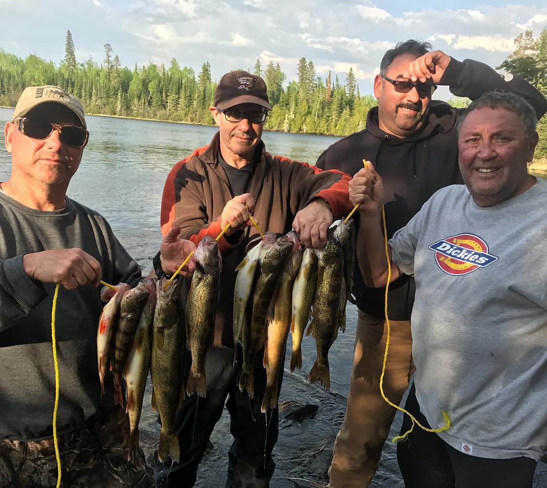 4 sauger fish caught while fishing in ON