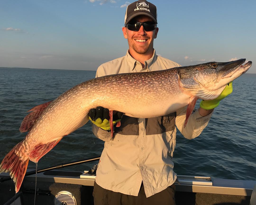 A fisherman holding a large Northern Pike in ON