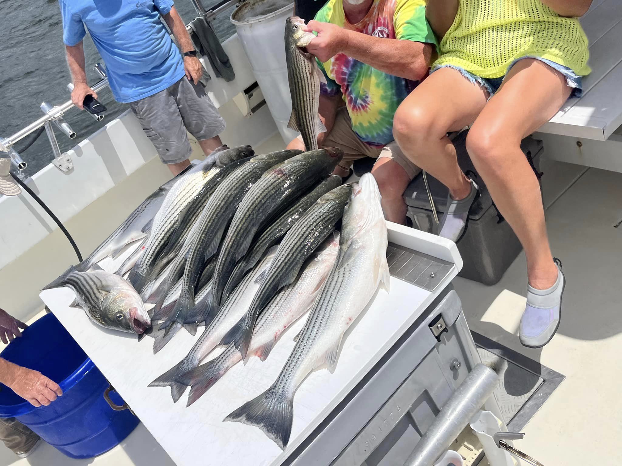 Striped bass fishing in MD