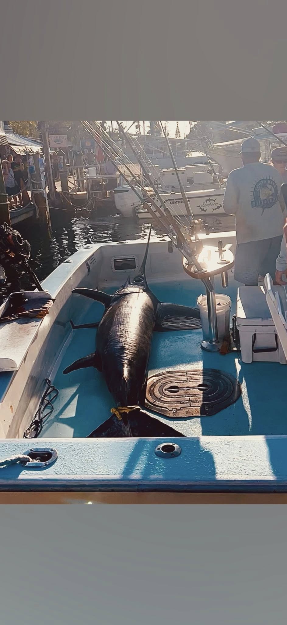 Large fish catch on fishing boat deck in Key West FL marina