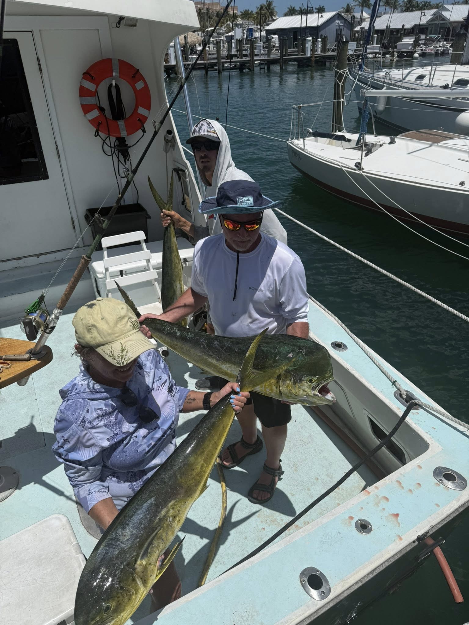 Fresh caught mahi mahi fish displayed on fishing boat deck in Key West FL