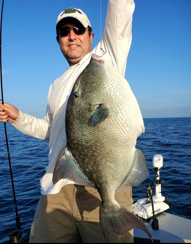 Angler with a grey triggerfish catch in FL