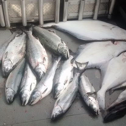 6 fish caught in BC while fishing