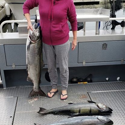 Three king mackerel fish caught in BC