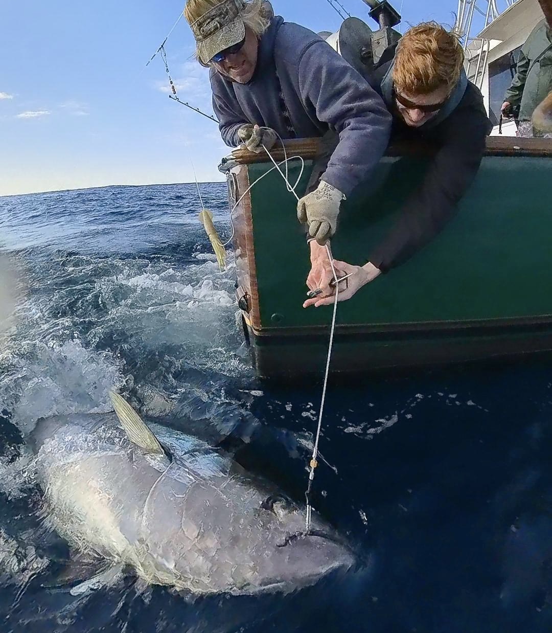 A fisherman catches a King Mackerel in Wanchese