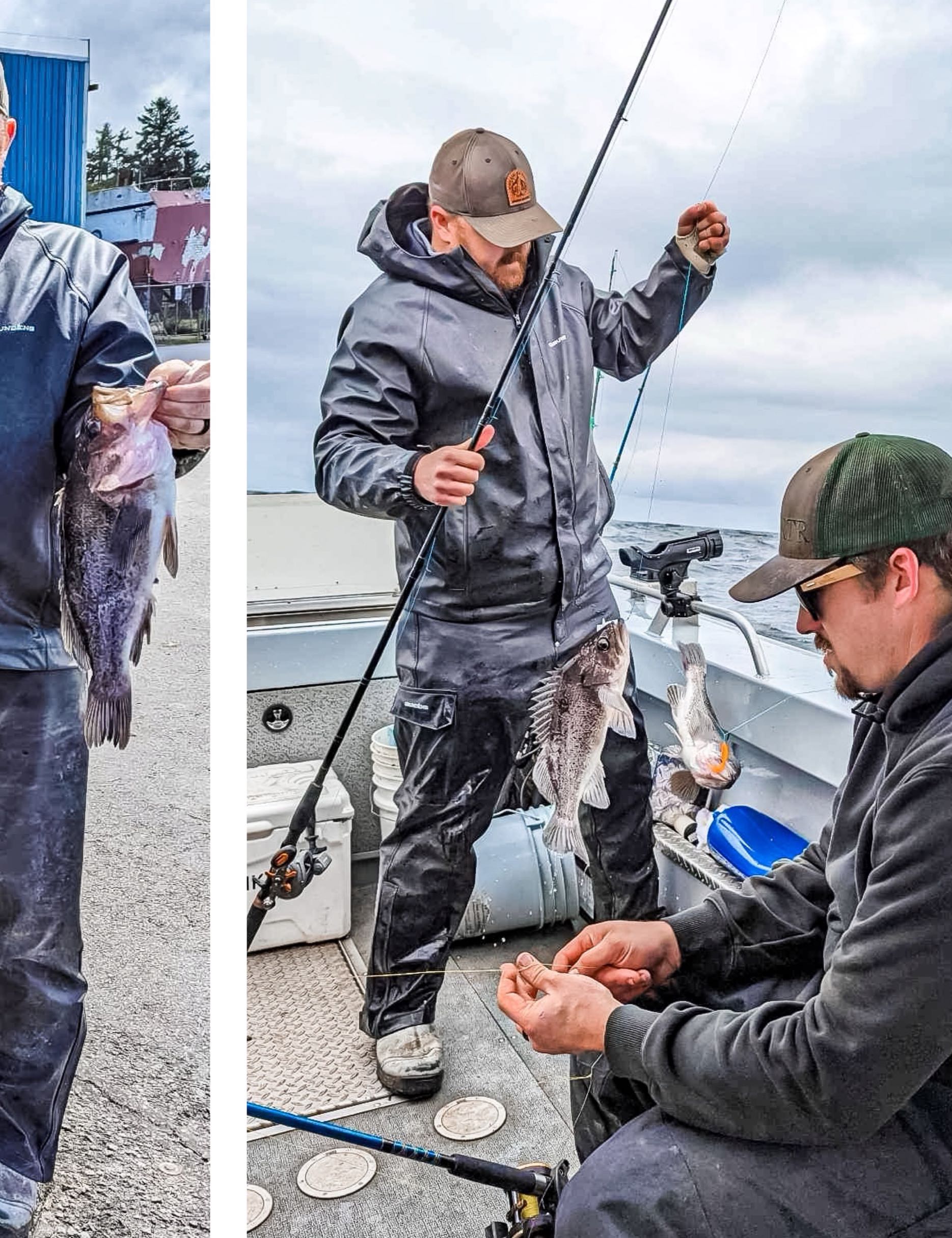Angler holding two black rockfish caught in Roseburg