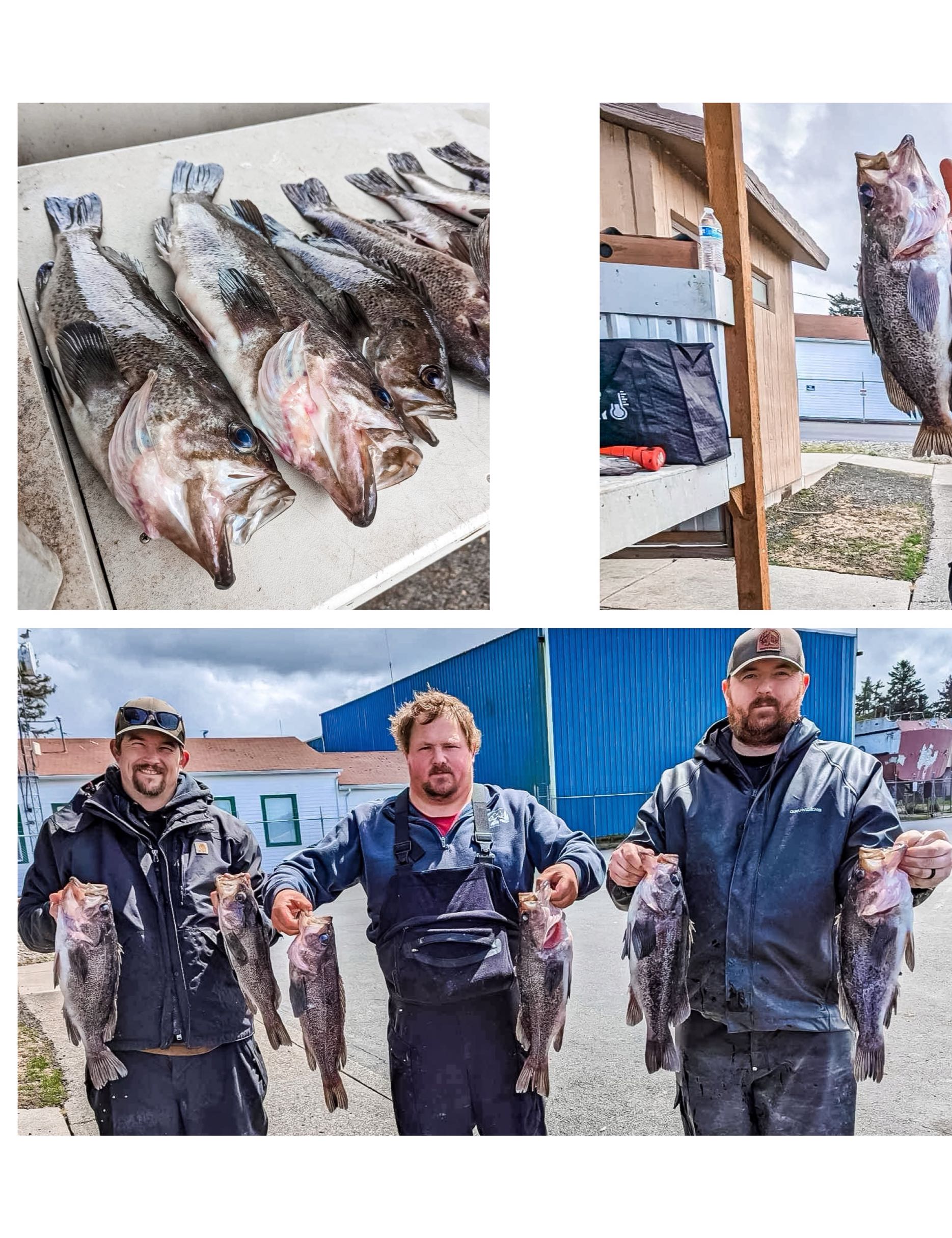 9 fish caught on fishing trip in OR